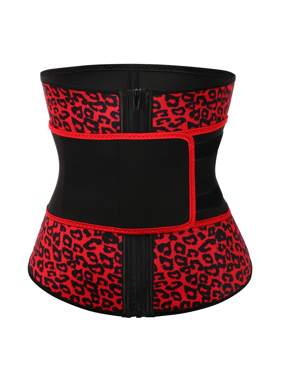 Belted Steel Bone Trainer