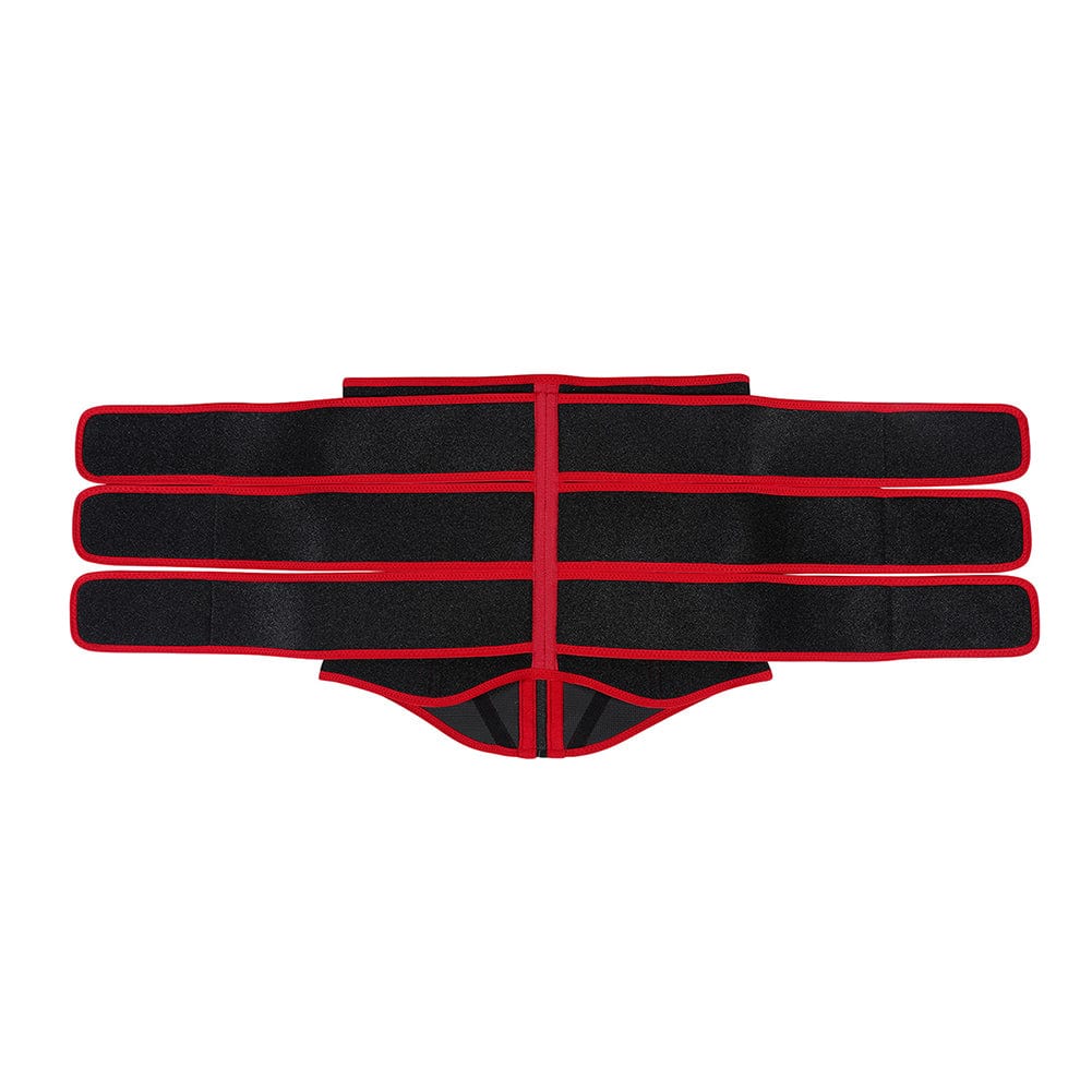 10 Steel Bone Triple Belt Trainer